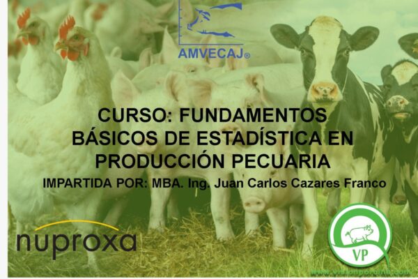 WhatsApp Image 2023-07-08 at 11.23.17 AM (1) WhatsApp Image 2023-07-08 at 11.23.17 AM (1)