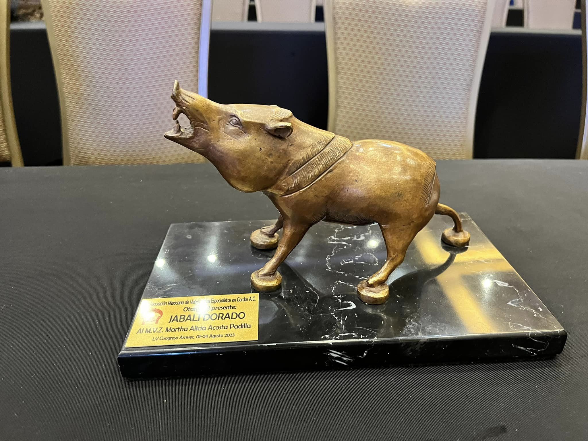 AWARD OF THE GOLDEN BOAR TO THE CEO OF THE MARTHA ACOSTA FOUNDATION AT THE LV NATIONAL CONGRESS AMVEC 2023