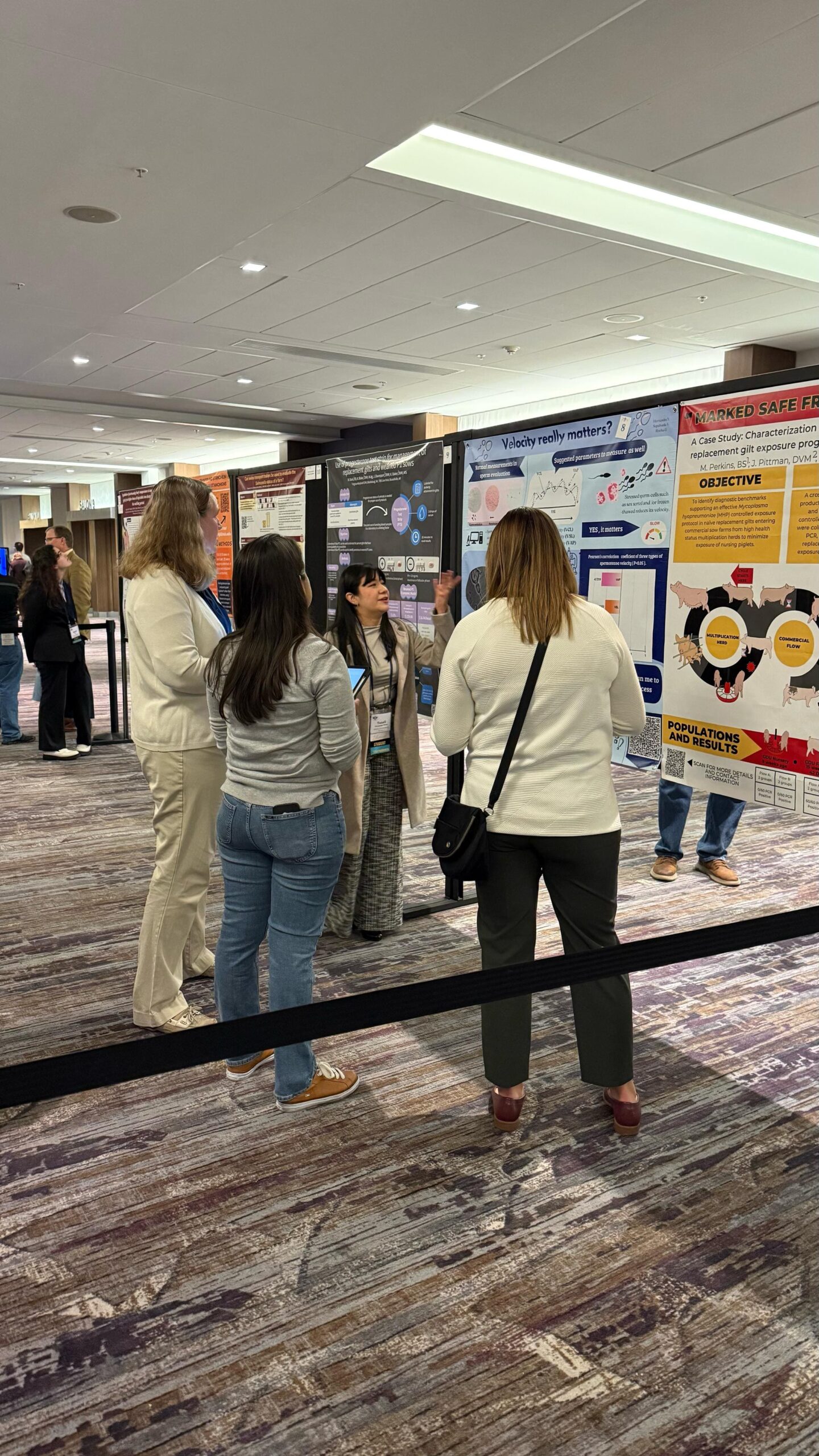 For the third consecutive year, Martha Acosta Foundation scholarship recipients will receive stipends to participate in the AASV 2026