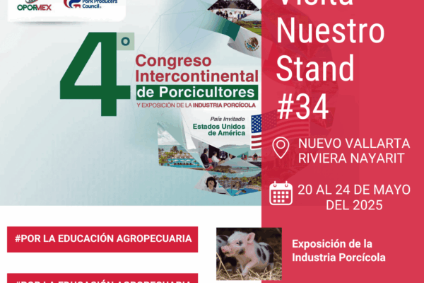 Modern Annual Business Summit Flyer pagina web (1)