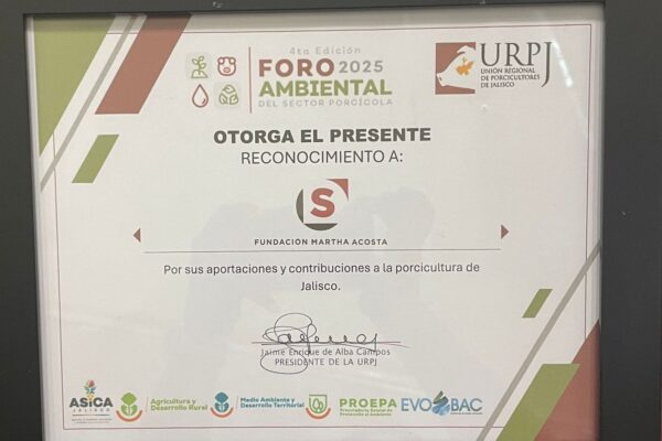 Imagen de WhatsApp 2025-08-21 a las 11.08.41_85825548