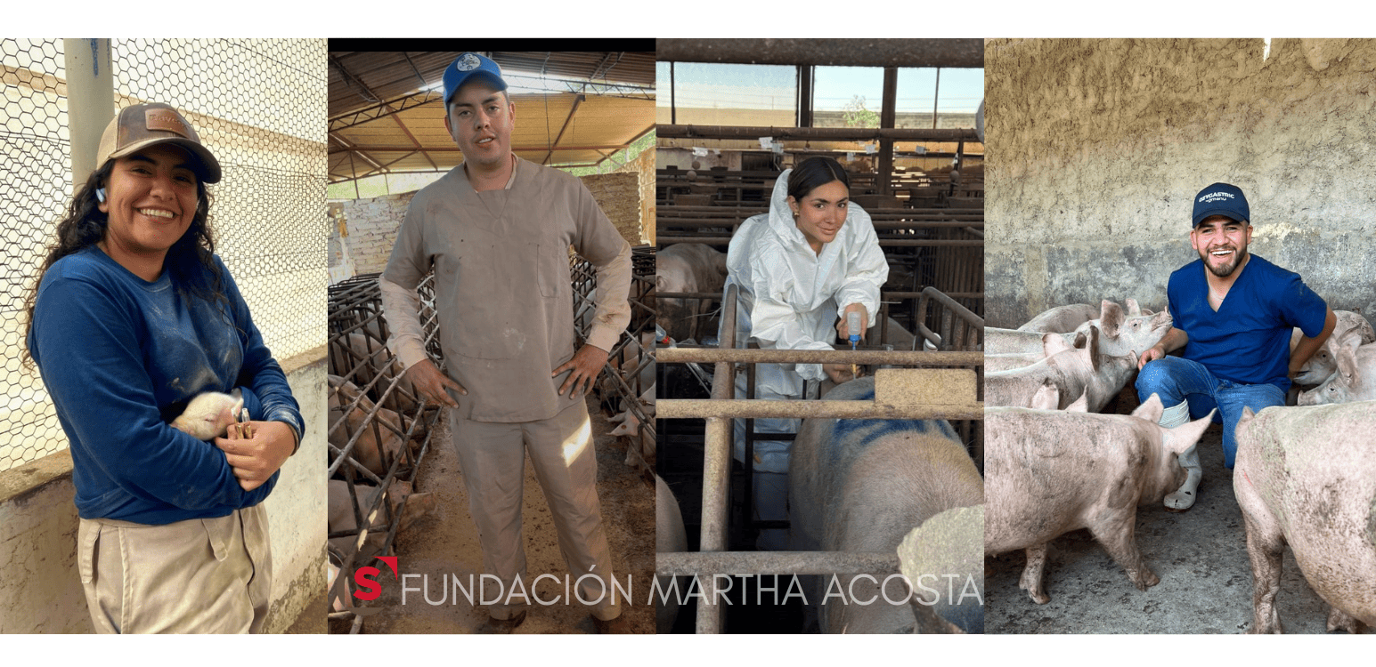 With the support of donors, the 2026 generation of the Virtual Pig Farm School is consolidated