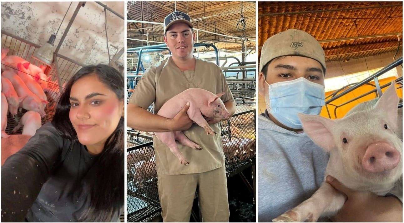 Bolsistas da MAFI participarão da AASV 2026 com respaldo acadêmico